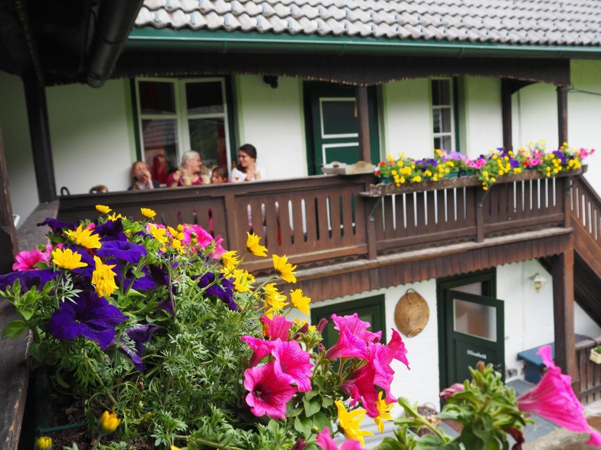 Sachserhof Ferienwohnungen In Sachsenburg Luaran gambar